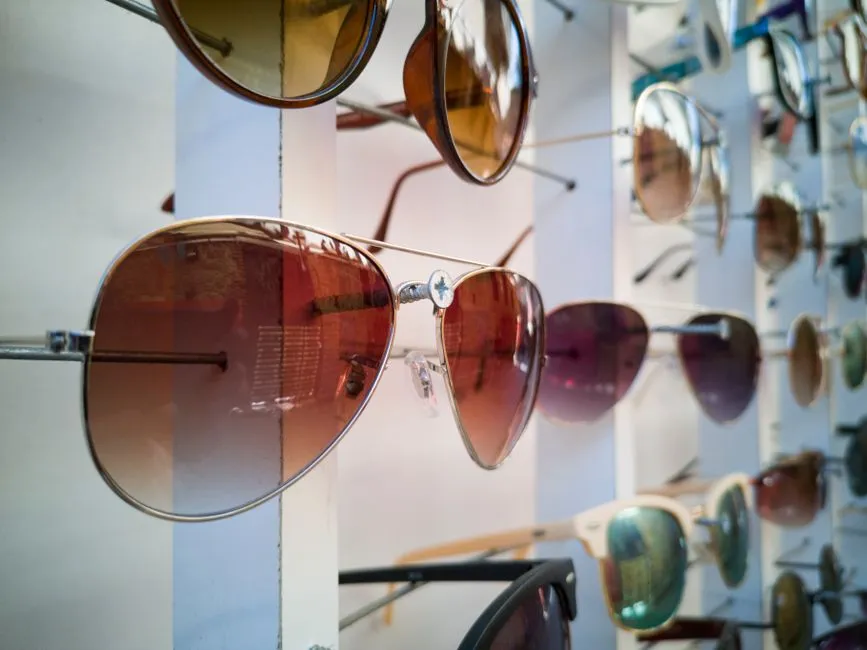 Sunglasses for Birding: What Matters in the Field