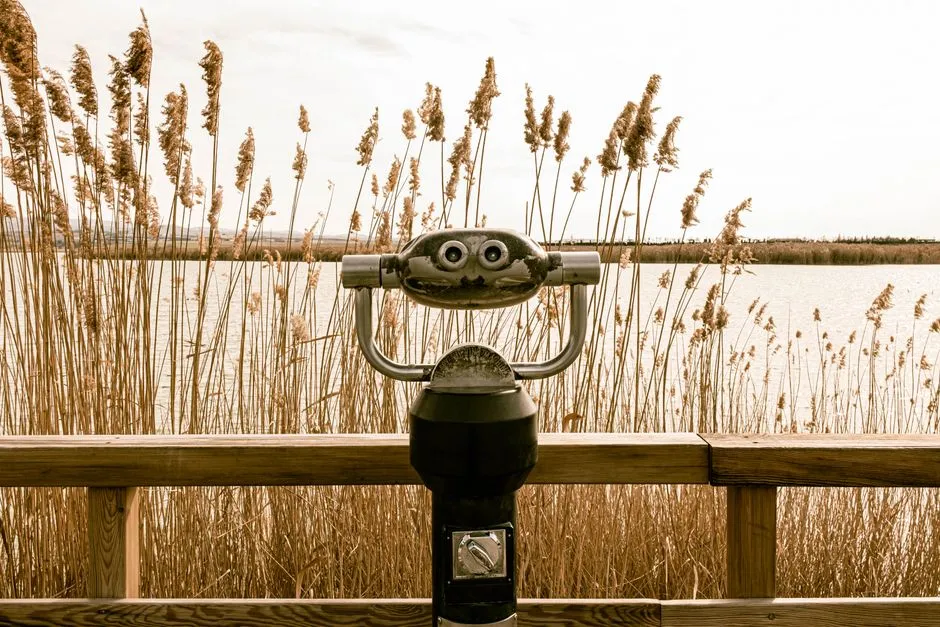 Best Sunglass Lenses for Birding Conditions
